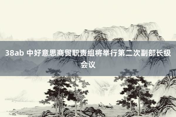 38ab 中好意思商贸职责组将举行第二次副部长级会议