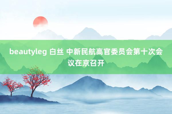 beautyleg 白丝 中新民航高官委员会第十次会议在京召开