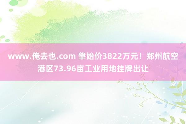 www.俺去也.com 肇始价3822万元！郑州航空港区73.96亩工业用地挂牌出让