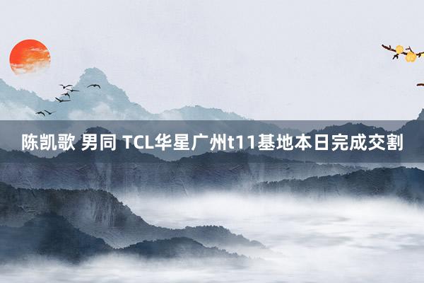 陈凯歌 男同 TCL华星广州t11基地本日完成交割